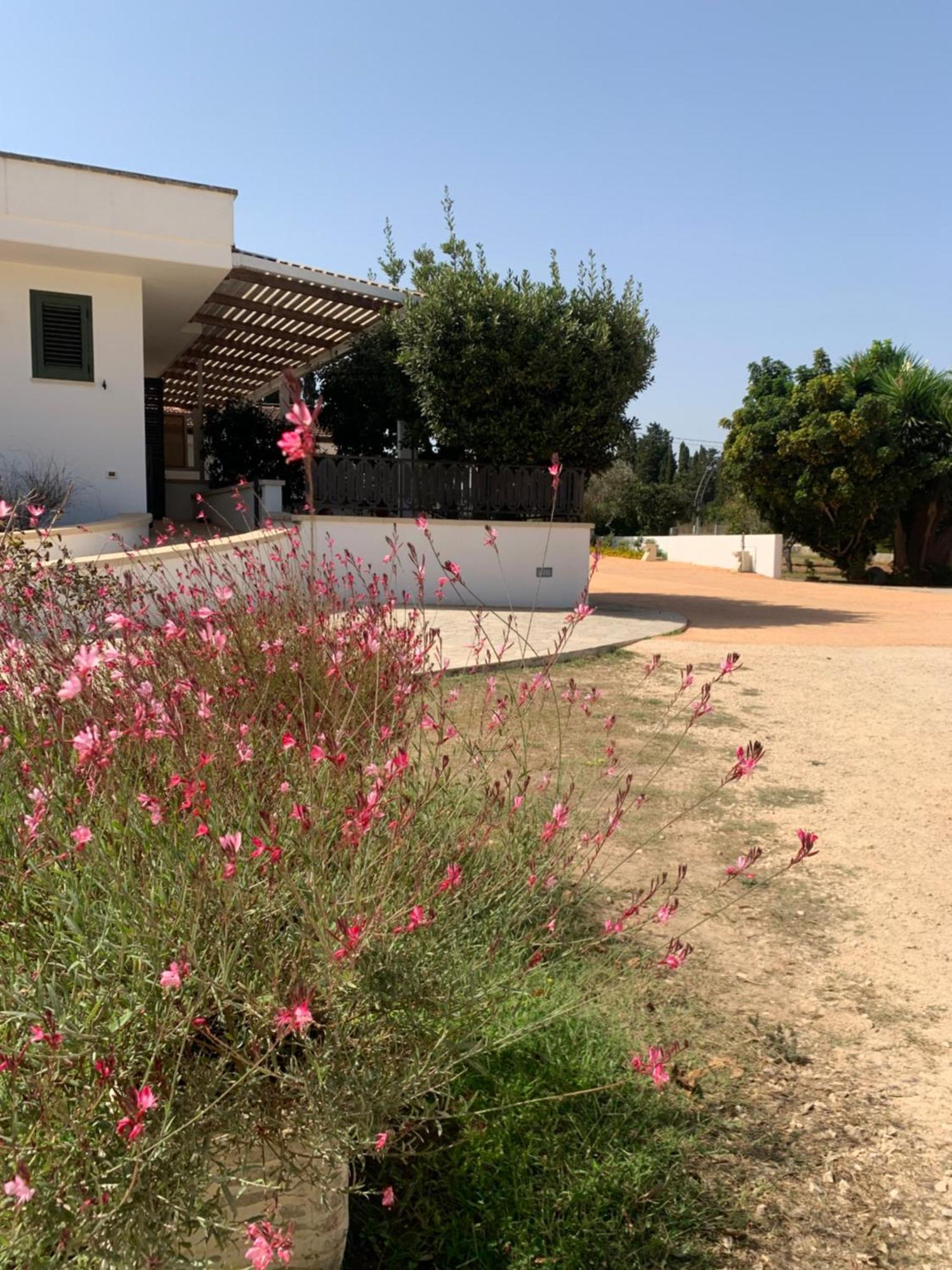 Agriturismo Fontanelle Otranto Dış mekan fotoğraf