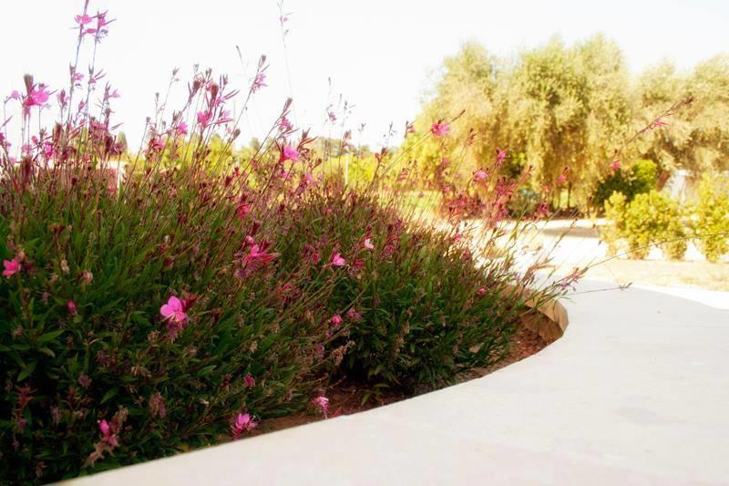 Agriturismo Fontanelle Otranto Dış mekan fotoğraf