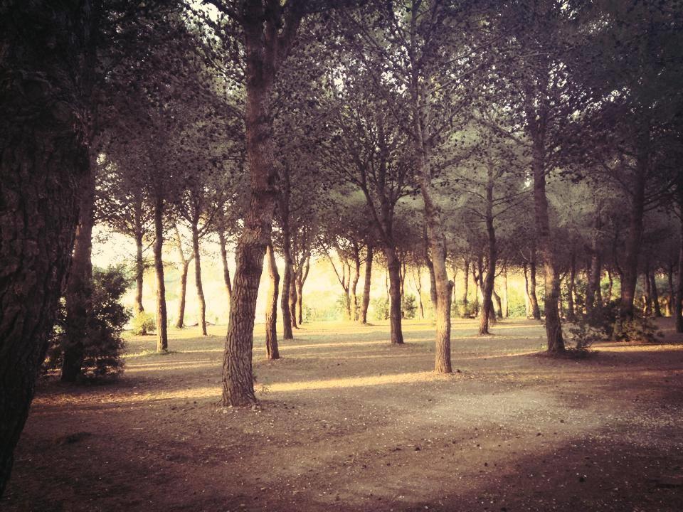 Agriturismo Fontanelle Otranto Dış mekan fotoğraf