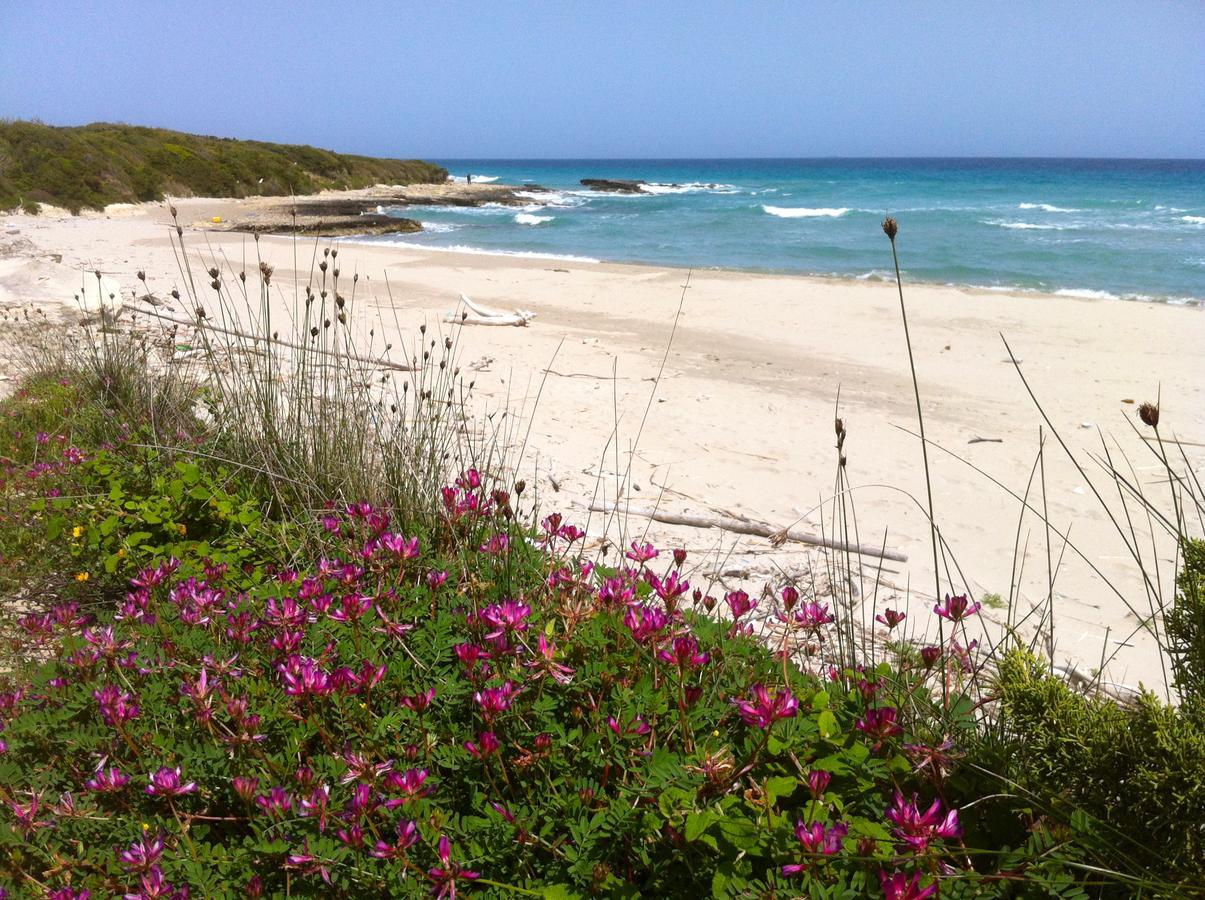 Agriturismo Fontanelle Otranto Dış mekan fotoğraf